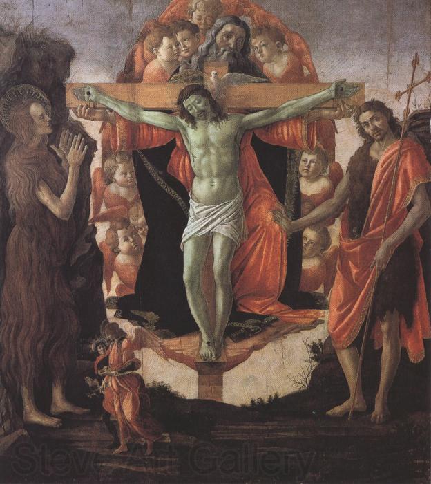 Sandro Botticelli Trinity with Mary Magdalene,St John the Baptist,Tobias and the Angel (mk36) Spain oil painting art